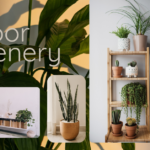 10 Best Indoor Decor Plants For Beginners in UAE: Easy + Aesthetic.
